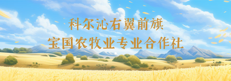 科爾沁右翼前旗寶國(guó)農(nóng)牧業(yè)專(zhuān)業(yè)合作社